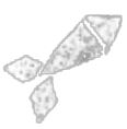 Dart Icon.png