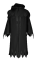 The Forest Protectors' feathered cloaks found in The Mayor's secret room.