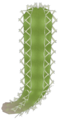Cactus part
