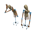 3D Model of the mannequins